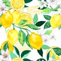 Seamless citrus repeat pattern background Hand drawn illustration with lemons tree foliage blossom and leaf