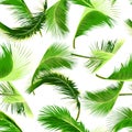 Seamless coconut tree leaves pattern. palm leaves vector Royalty Free Stock Photo