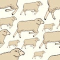 Seamless color cute sheep pattern. Vector childish background Royalty Free Stock Photo