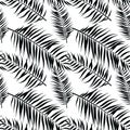 Seamless color palm leaves pattern. Flat style. Black and white Royalty Free Stock Photo