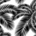 Seamless color palm leaves pattern. Flat style. Black and white Royalty Free Stock Photo