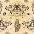 Seamless color pattern: image of a butterfly, larva, sacred geometry.