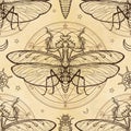 Seamless color pattern: mantis, larva, alchemical circle of transformations.