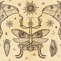 Seamless color pattern: mantis, tropical butterfly having a tail, larvae.