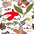 Seamless color pattern of spice and herbs