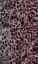 Seamless Colored Animal Skin Pattern, Repeated Leopard Skin Design with Lines. Royalty Free Stock Photo