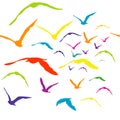 Seamless with colored birds