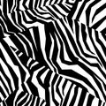 Seamless colorful animal skin texture of zebra