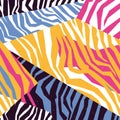 Seamless colorful animal skin texture of zebra