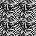 Seamless colorful animal skin texture of zebra Royalty Free Stock Photo