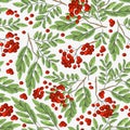 Seamless colorful autumn pattern with rowan berries and green leaves on a white background. Floral rowan illustration Royalty Free Stock Photo