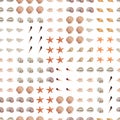 Seamless colorful background with sea shells