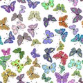 Seamless colorful butterfly pattern. Vector Royalty Free Stock Photo