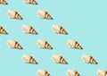 Seamless colorful pattern of shells on pastel blue color background with copy space. From top view. Conceptual trendy style. Minim