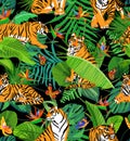 Seamless colorful pattern with tigers and different tropical plants, butterfly, orchid flowers and bird of paradise flowers on Royalty Free Stock Photo