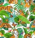 Seamless colorful pattern with tigers and different tropical plants, butterfly, orchid flowers and bird of paradise flowers on Royalty Free Stock Photo