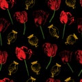 Seamless colorful poppies pattern on black background.