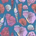 Seamless colorful sea shell pattern. Royalty Free Stock Photo