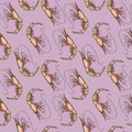 Seamless Colorful Shrimps Background Pattern Royalty Free Stock Photo