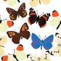 Seamless common butterfly pattern with white background