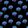 Seamless continuous pattern, blue flowers on black background.