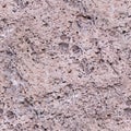 seamless coquina shell rock texture. background, geological. Royalty Free Stock Photo