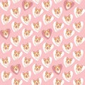 Seamless corgi background. Cute little faces of dogs with a protruding tongue in hearts on a pink background.