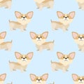 Seamless corgi dog cartoon pattern