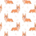 Seamless corgi pattern. Cartoon home pet, set of cute puppies for print, posters and postcard. Vector corgi animal Royalty Free Stock Photo