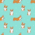 Seamless corgi pattern. Cartoon home pet, set of cute puppies for print, posters and postcard. Vector corgi animal background