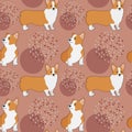 Seamless corgi pattern. Cartoon home pet, set of cute puppies for print, posters and postcard. Vector corgi animal background