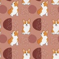 Seamless corgi pattern. Cartoon home pet, set of cute puppies for print, posters and postcard. Vector corgi animal background