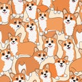 Seamless corgi pattern. Cartoon home pet, set of cute puppies for print, posters and postcard. Vector corgi animal background