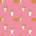 Seamless corgi pattern. Cartoon home pet, set of cute puppies for print, posters and postcard. Vector corgi animal background