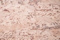 Seamless cork texture. Perfect background Royalty Free Stock Photo