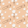 Seamless Cotton Pattern. Seamless cotton bud vector illustration for packaging or fabric print.