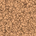 Seamless cracked soil pattern