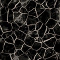 Seamless cracked soil pattern Royalty Free Stock Photo