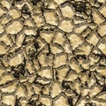 Seamless cracked soil pattern