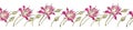 Seamless creative cute floral border