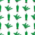 Seamless Creative Pattern of Potted Home Plants