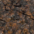 Seamless crevice texture Royalty Free Stock Photo
