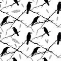 Seamless crows, tree branches and feathers. Vector