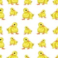 Seamless cute baby chicken. Animal pattern. - illustration Royalty Free Stock Photo