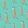 Seamless cute meerkat pattern. Standing suricate