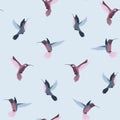 Seamless cute pattern with flying hummingbirds