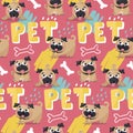 Seamless cute vector animal pet pattern with pug dogs, bone and graphic elements