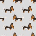 Seamless dachshund dog cartoon pattern