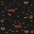 Seamless Dachshund Dog Pattern with bones, bows, dog houses and footprints