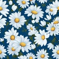 Seamless daisy banner for social media banner Royalty Free Stock Photo